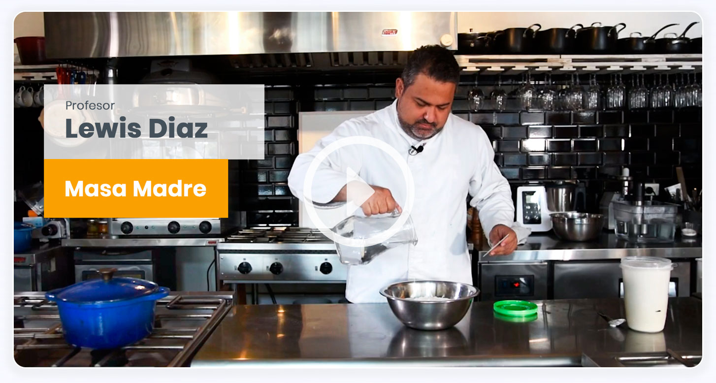 video curso cocina online